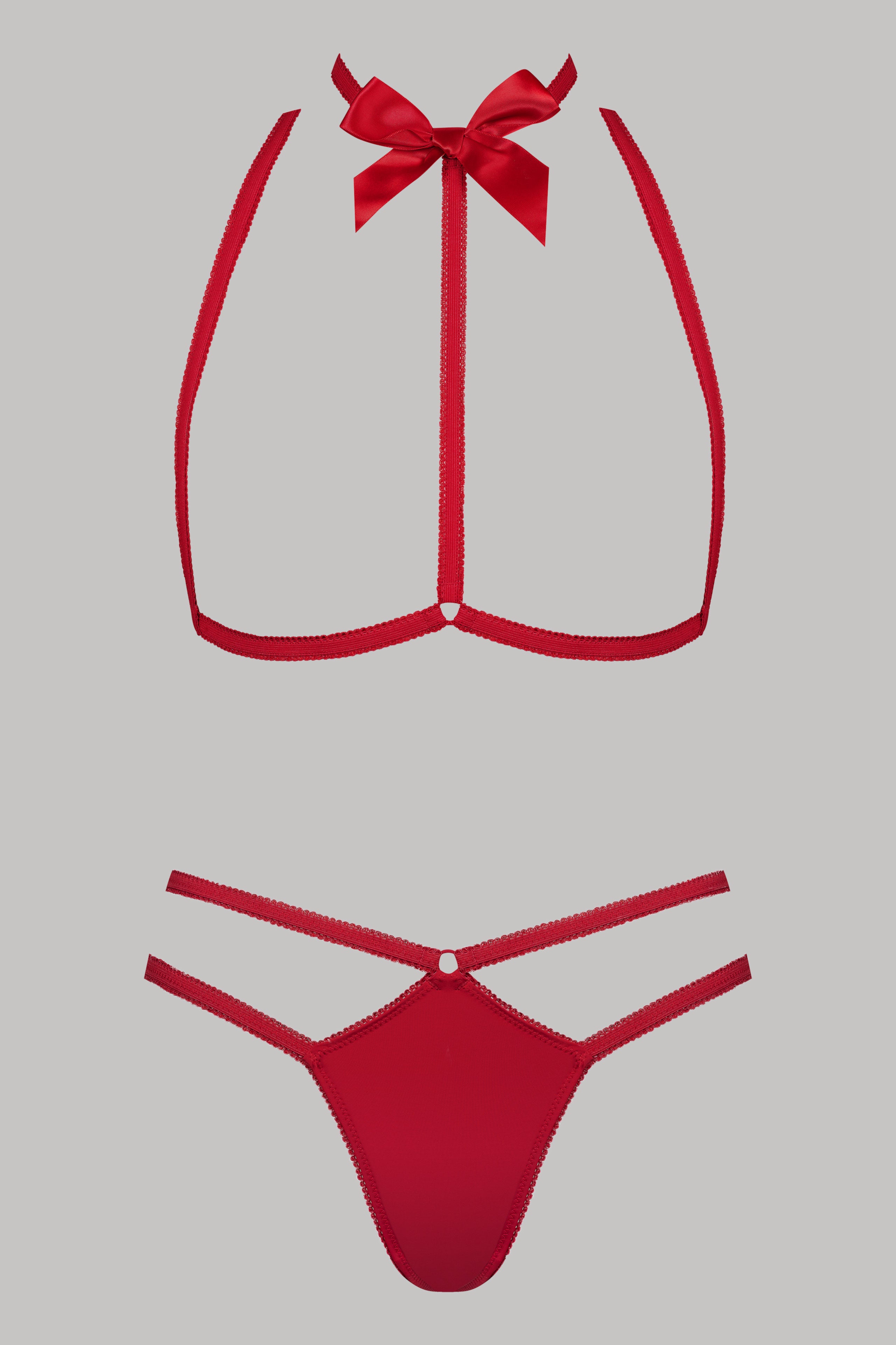 Harness &amp; Thong Set - Le Petit Secret