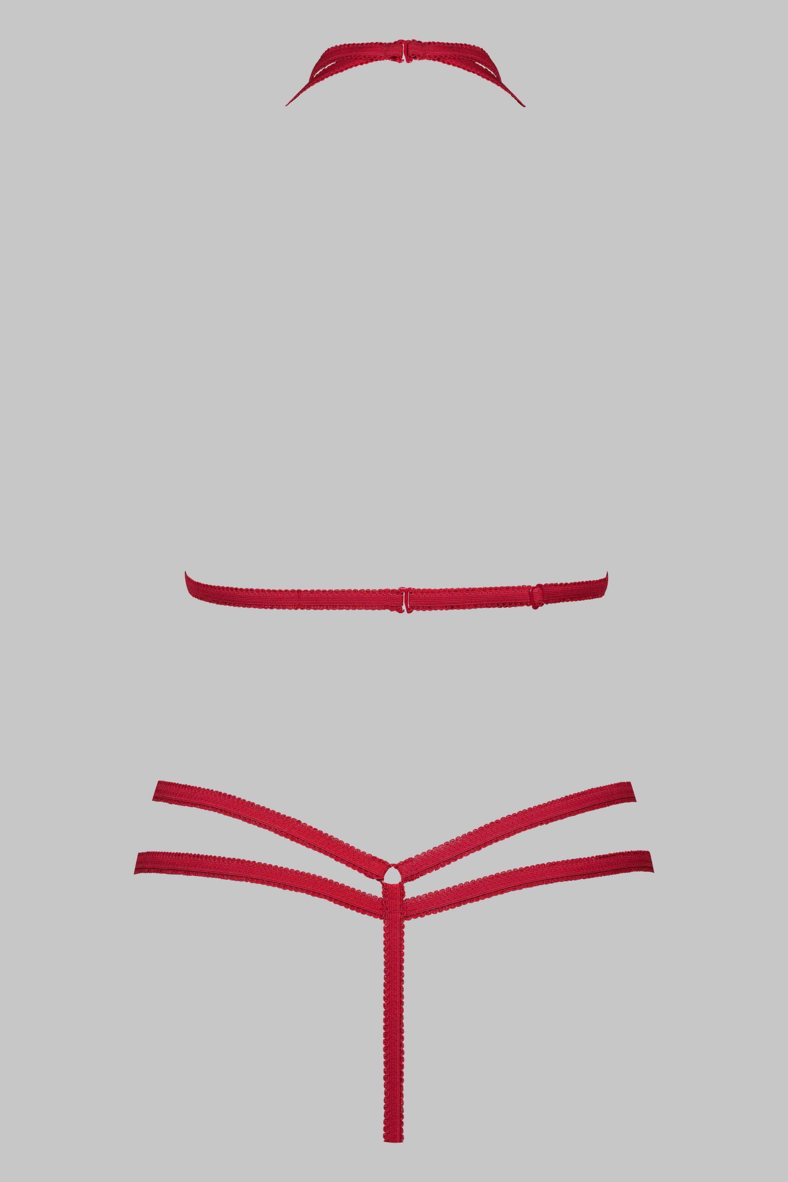 Harness &amp; Thong Set - Le Petit Secret