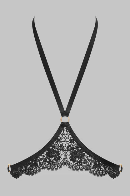 Harness - Le Ravissant
